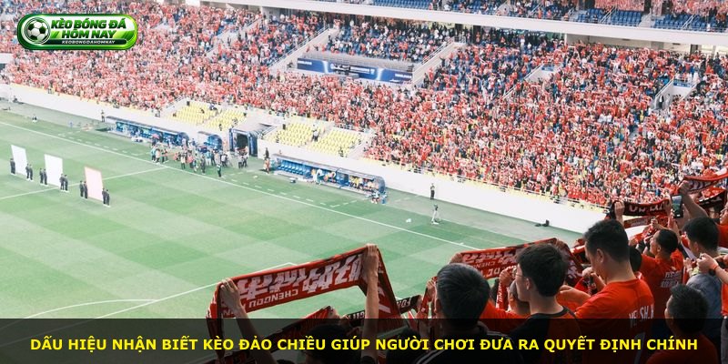 Dấu hiệu nhận biết kèo đảo chiều giúp người chơi đưa ra quyết định chính