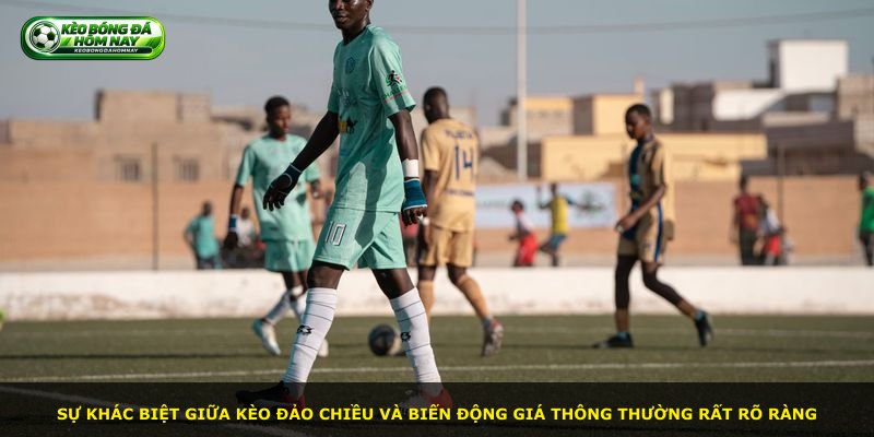 Sự khác biệt giữa kèo đảo chiều và biến động giá thông thường rất rõ ràng