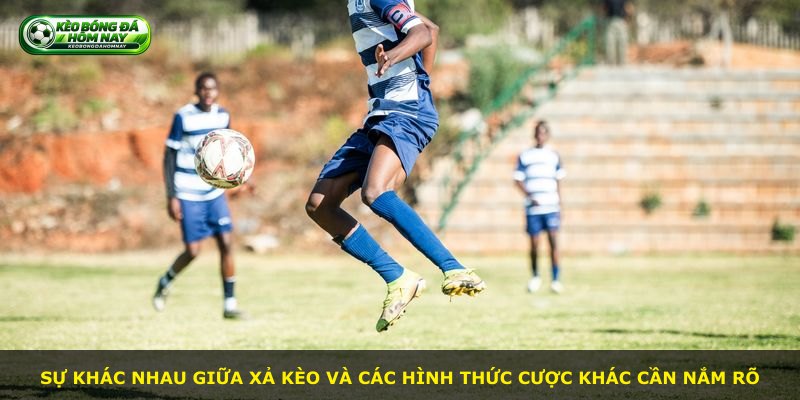 Sự khác nhau giữa xả kèo và các hình thức cược khác cần nắm rõ