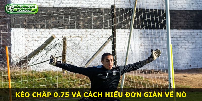 Kèo chấp 0.75 và cách hiểu đơn giản về nó