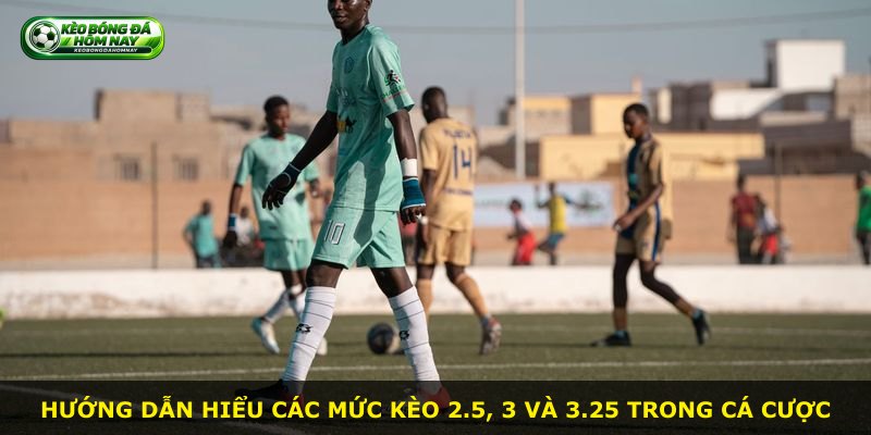 Hướng dẫn hiểu các mức kèo 2.5, 3 và 3.25 trong cá cược