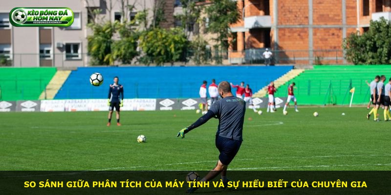 So sánh giữa phân tích của máy tính và sự hiểu biết của chuyên gia