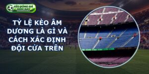 Tỷ Lệ Kèo Âm Dương Là Gì