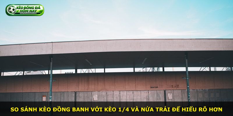 So sánh kèo đồng banh với kèo 1/4 và nửa trái để hiểu rõ hơn